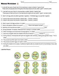 Describe the process of synapsis during prophase i and explain how genetic recombination occurs. Meiosis Worksheet