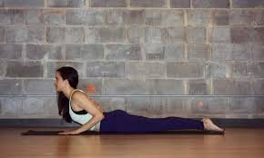 Williamsville, ny, 14221, united states Home Yoga For Every Body