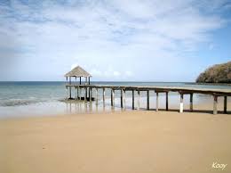 Une Plage Dans Un Jardin Mayotte L Ile Au Lagon Mayotte Island Mayotte Plage