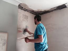 Thermal insulation coating plaster ile ilgili görsel sonucu