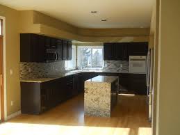 While white kitchen cabinets are classic and colorful kitchen cabinets are, we're ready for something a little moodier: Modern Painting Kitchen Cabinets Black Eco Paint Inc