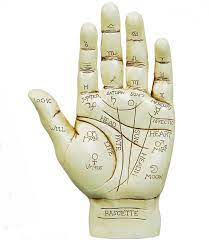 Palmist, Top Palmist, Famous Palmist, Expert Palmist, Scietific Palmist In  Ahmedabad, Gujarat, India