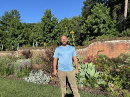 Image result for Megaloprotachne