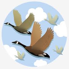 Cartoon Picture Of Birds Flying In The Sky Element Design Transparent Element Cartoon Animal Wild Goose White Clouds Illustrations Autumn Migratory Bird Ani In 2020 Migratory Birds Cartoon Clip Art Bird Graphic