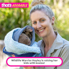 Hayley Shute from @australianreptilepark is raising her kids alongside  koalas! Check out her full story in the #linkinbio 📸 picture credit to  Australian Reptile Park