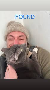 Has anyone seen our lost cat in Fishtown?