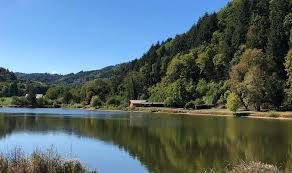 Offenburg ist best known for being the capital of the wine region ortenau. Freizeittipps In Und Um Offenburg Honey