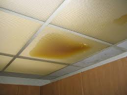 Roofing leaks can be very elusive sometimes, and are not always straightforward. Easily Find The Source Of Any Ceiling Leak Terry S Plumbing