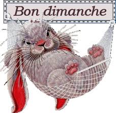 Résultat de recherche d'images pour "gif image animée bon dimanche"