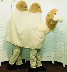 Sally the camel has.how many humps? 17 3 Wise Women Ideas Wise Women The Nativity Story Women