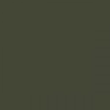 Ral 6003 Olive Green Aerosol Spray Paint 1k 2k 400ml