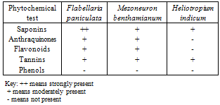 Image result for Flabellaria paniculata