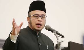Datuk seri najib tun razak; Laporan Polis Ke Atas Mufti Perlis