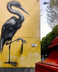 Birds That Cannot Fly Images Pin On Photography