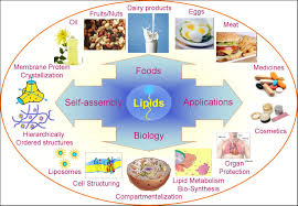 Biochemistry Tests For Food Macromolecules Lipid Answers Lipids Are Often Defined As Water Insoluble Or Sparingly Soluble Organic Compounds Found In Biological Systems A Macromolecules Food Medicine Systems Biology