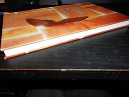 Der see friert von oben nach unten. Die Anomalie Des Wassers Alice Munscher Buch Erstausgabe Kaufen A02hzr8w01zzu