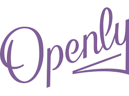 Openly Secures $193 Million to Expand Homeowners Insurance Services