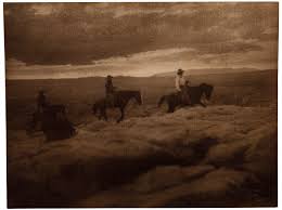 Image result for Rogiera cordata