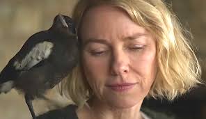 When an unlikely ally enters the bloom family's world in the form of an injured baby magpie they name penguin, the bird's. Penguin Bloom Movie The Movie My Life