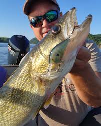 Mississippi River walleyes are hitting DT-8 and DT-10 cranks right now! IDO  Team member Dave Koonce says bluegill and smash are the hot colors