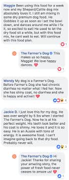 Each package is customized to your dog's while fresh dog food delivery is significantly more expensive than regular kibble, the health benefits are worth the cost. My Review Of The Farmer S Dog Spoiler Alert It S Really Good