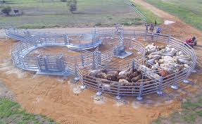 Pin On Kraal