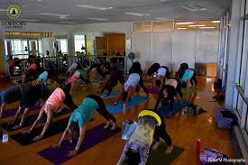 International yoga festival (iyf) is a platform to explore the essence of the ancient way of health and wellness. Western Yoga Festivals To Attend In 2018 Yogiapproved