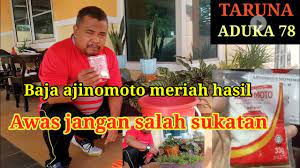 Tutorial saya ajar cara buat baja paling mudah dalam dunia. Cara Buat Baja Ajinomoto Untuk Tanaman Youtube