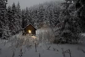 снег выпал только в январе на третье в ночь Sneg Vypal Tolko V Yanvare Ili Zimnie Anomalii V Rossii