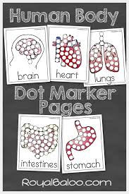 Human Body Dot Markers Royal Baloo Human Body Activities Human Body Crafts Body Preschool