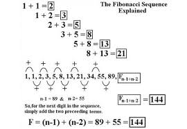 In The 12th Century Leonardo Fibonacci Discovered A Mathematical Series That Is Found Throu Leonardo Fibonacci Fibonacci Sequence Fibonacci Sequence Explained