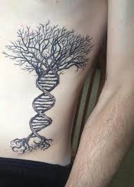 Tatouage arbre de vie celtic tattoos for men life tattoos. Tatouage Arbre De Vie Modeles Populaires Et Signification Arbre De Vie Tatouage Adn Tatouage Arbre De Vie Tatouage