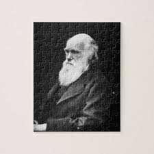 Create your own 520 piece puzzle. Charles Darwin Portrait Jigsaw Puzzle Zazzle Com Jigsaw Puzzles Charles Darwin Robert Darwin