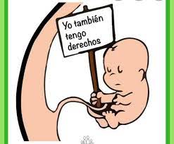 El derecho a la vida constitucionalizado en el art. Derecho Ala Vida 116 Posts Facebook