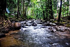 9th march 2017 we had an awesome day at gabai waterfall, located at hulu langat. Taman Eko Rimba Kanching And Chongkak Park Resort Reopen Visionkl