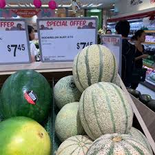 This is the gallery for all of winter melon's appearances through the plants vs. Malaysian Rock Melon Information And Facts