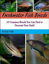 Freshwater Fish Breeds By Becky Wolff
