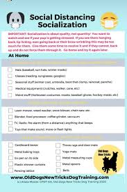 To fully protect your puppy from a canine virus or always speak with your doctor. A Quick Socialization Checklist That May Be Helpful To Anyone Quarantined At Home With A New Pupper Dogtraining