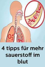 4 Tipps Fur Mehr Sauerstoff Im Blut Sauerstoff Im Blut Ratgeber Gesundheit Sauerstoff