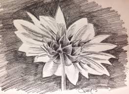 Check spelling or type a new query. Gambar Sketsa Bunga Indah Dan Mudah Sakura Mawar Melati Matahari Anggrek Tulip Dll Soal Terbaru