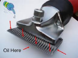 UK Clippers: Clipper Service Information