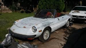 Image result for Gray 1981 Alfa-Romeo