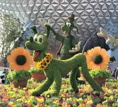 Enjoy this garden flowers gallery gallery album you will find quite a few (total of 194) pictures that you can browse, enjoy, comment upon and discuss. 2018 Epcot Flower And Garden Festival Topiary Photo Gallery Allears Net