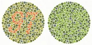 a test plate of the well known ishihara colour vision test