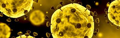 Image result for about-caronavirus