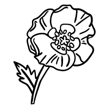 Check spelling or type a new query. Poppy Flower Stroke Transparent Png Svg Vector