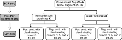 Serial Processing Of Biological Reactions Using Flow Through