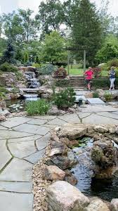 Our products range from water garden water treatments, to waterfall pumps. Meyer Aquascapes Home Facebook