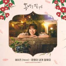 When The Camellia Blooms Ost Dramawiki Ost Film Pictures Album