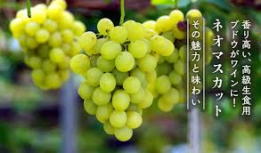 日本ワイン通販のwa-syu